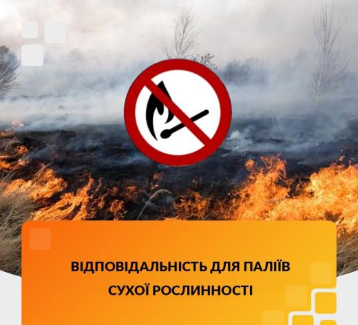 Відповідальність за спалювання сухої рослинності та сміття!