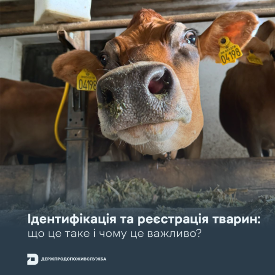 Про необхідність ідентифікації та реєстрації тварин