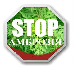 ``Зелений агресор – амброзія полинолиста!``