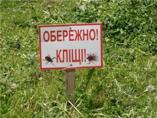 До уваги суб’єктів господарювання