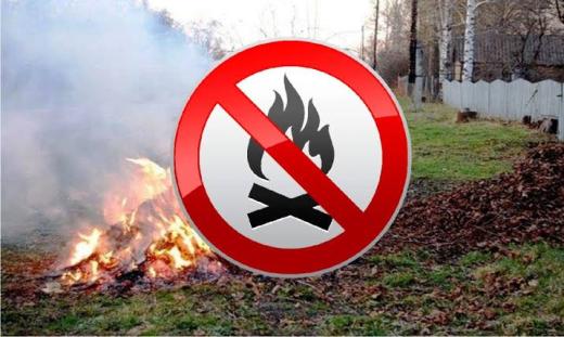 Про заборону спалювання опалого листя та сухої рослинності!